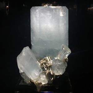 Meet your Posher, Abigail